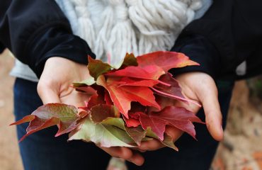 post-autunno