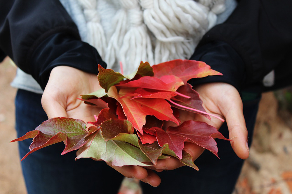 post-autunno