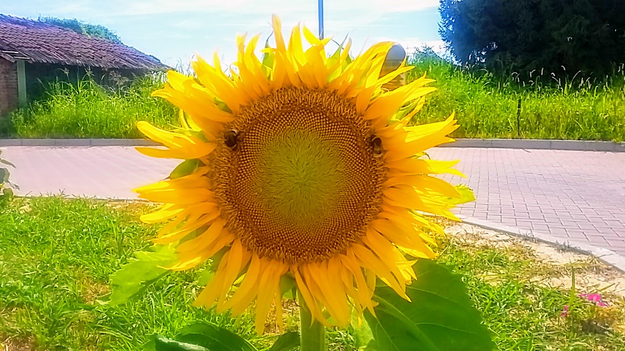 20170727_162800
